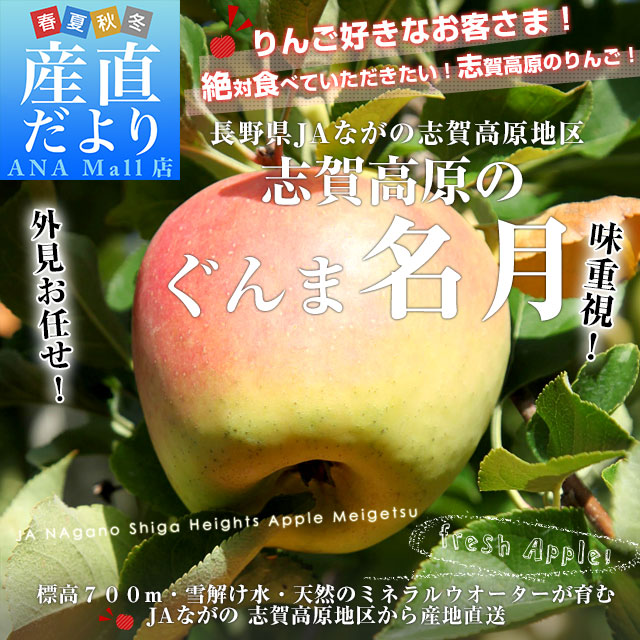 長野県産JAながの 志賀高原のぐんま名月 ご家庭用約5キロ (10玉から20玉) 送料無料 (離島などの一部地域を除く)林檎 りんご リンゴ めいげつ