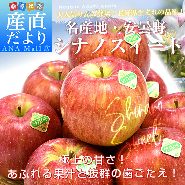 りんご ニュージーランド産 JAZZりんご(品種:サイフレッシュ)約2キロ(11