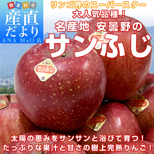 長野県産 JAあづみ 安曇野 サンふじ 約3キロ (8玉から10玉) 送料無料 (離島などの一部地域を除く)りんご 林檎 市場発送