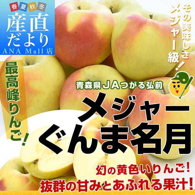 青森県より産地直送 JAつがる弘前 メジャー ぐんま名月 約3キロ（8玉から11玉）送料無料 りんご リンゴ 林檎