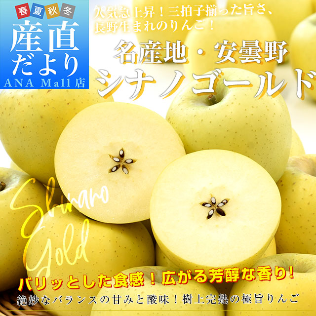 長野県産 JAあづみ 安曇野 シナノゴールド 約3キロ (8玉から10玉) 送料無料(離島などの一部地域を除く) りんご 林檎 市場発送