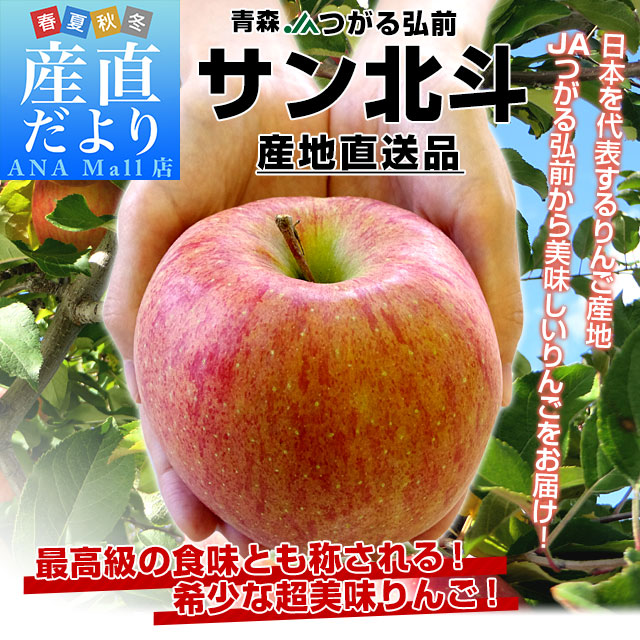 青森県より産地直送 JAつがる弘前 サン北斗 約3キロ (9玉から13玉) 送料無料(離島などの一部地域を除く) りんご リンゴ 林檎