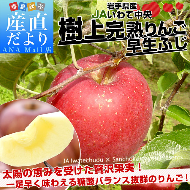 岩手県から産地直送 JAいわて中央 樹上完熟りんご「早生ふじ」等級：特