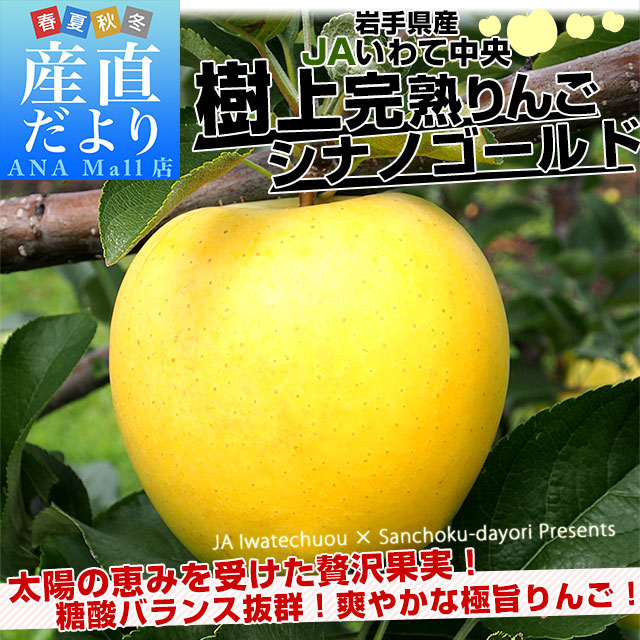 岩手県から産地直送 JAいわて中央 樹上完熟りんご「シナノゴールド」等級:特以上 約2.5キロ(7玉から10玉)送料無料(離島などの一部地域を除く) りんご 林檎 リンゴ