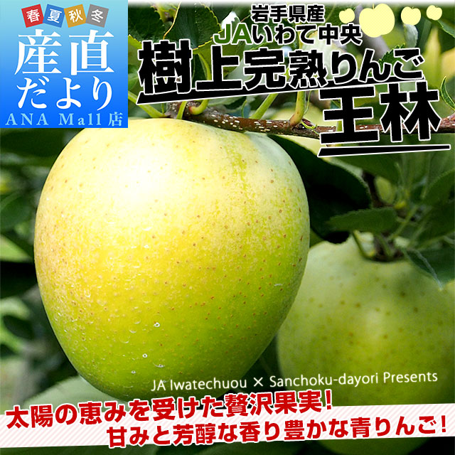 岩手県から産地直送 JAいわて中央 樹上完熟りんご「王林」等級：特以上 約2.5キロ（8玉から11玉）送料無料 りんご 林檎 リンゴ おうりん