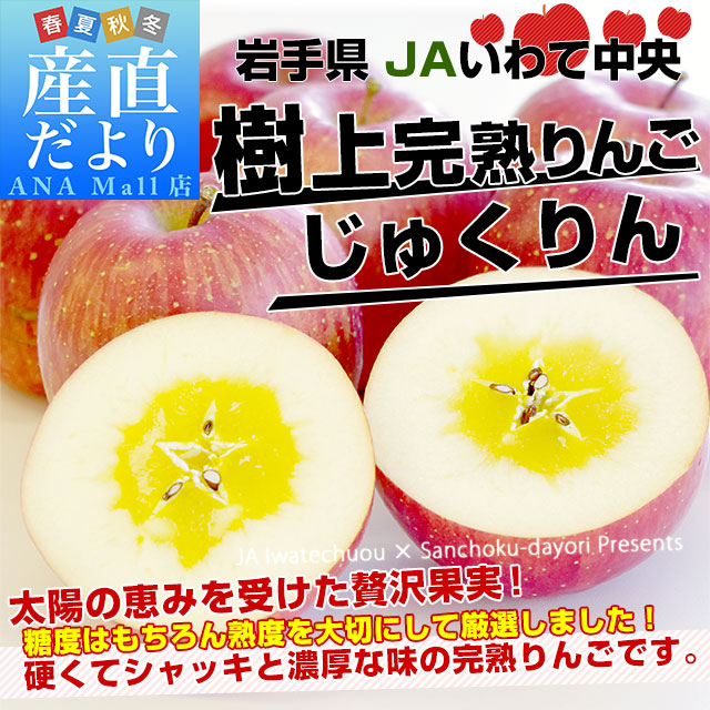 【お歳暮 ギフト】岩手県から産地直送 JAいわて中央 樹上完熟りんご「じゅくりん」等級：〇秀以上 約2.5キロ（8玉から10玉）送料無料 りんご 林檎 リンゴ