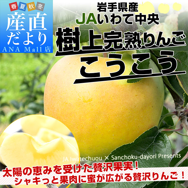 岩手県から産地直送 JAいわて中央 樹上完熟りんご「こうこう」等級：特以上 約2.5キロ（7玉から10玉）送料無料 りんご 林檎 リンゴ
