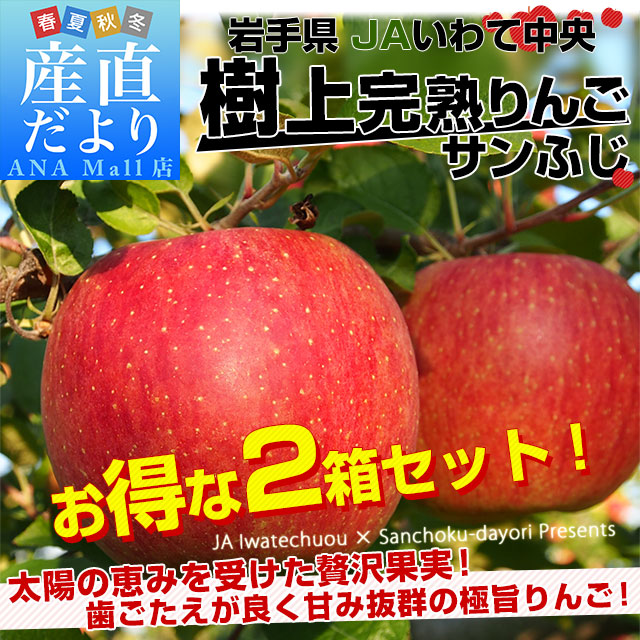 岩手県から産地直送 JAいわて中央 樹上完熟りんご「サンふじ」等級:特以上 約2.5キロ×2箱(7玉から11玉×2箱)送料無料(離島などの一部地域を除く) りんご 林檎 リンゴ さんふじ