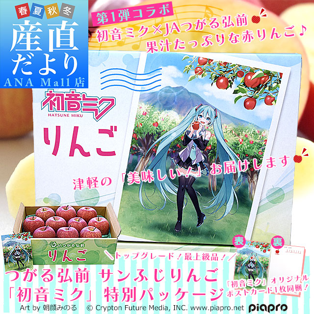 青森県より産地直送 JAつがる弘前 サンふじ 最上級品 初音ミクコラボ限定化粧箱 約3kg(9から10玉入り) 赤りんご リンゴ 送料無料（離島など一部地域を除く）