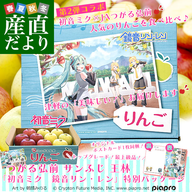 りんちゃんさん◇専用◇松脂まとめ買い 青森県より産地直送 JAつがる弘前 サンふじ 王林 最上級品 初音ミク 鏡