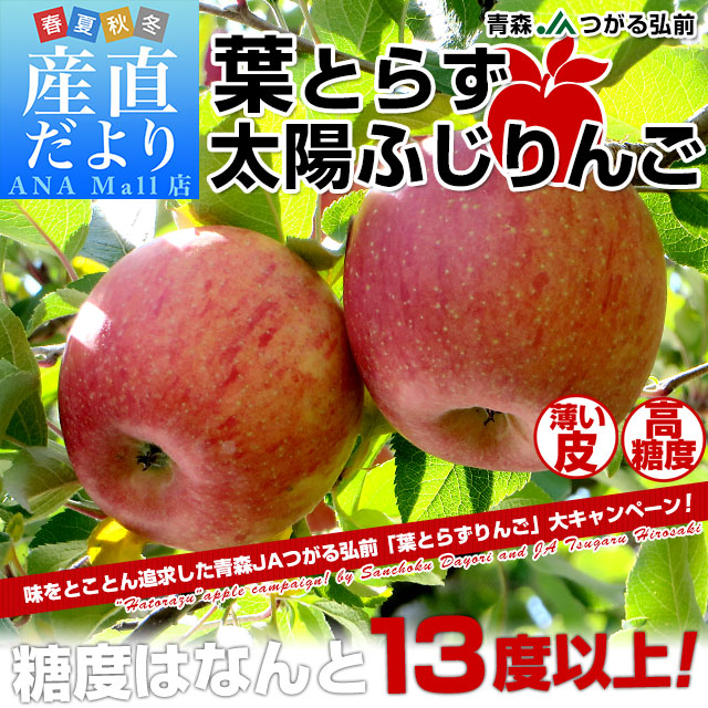 青森県から産地直送 JAつがる弘前 葉とらず太陽ふじりんご 3キロ(8玉から13玉) 糖度13度以上 林檎 リンゴ 送料無料(離島などの一部地域を除く)