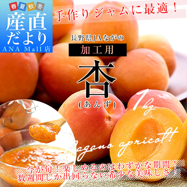 長野県産 JAながの 加工用「杏（あんず）」（品種：信州大実