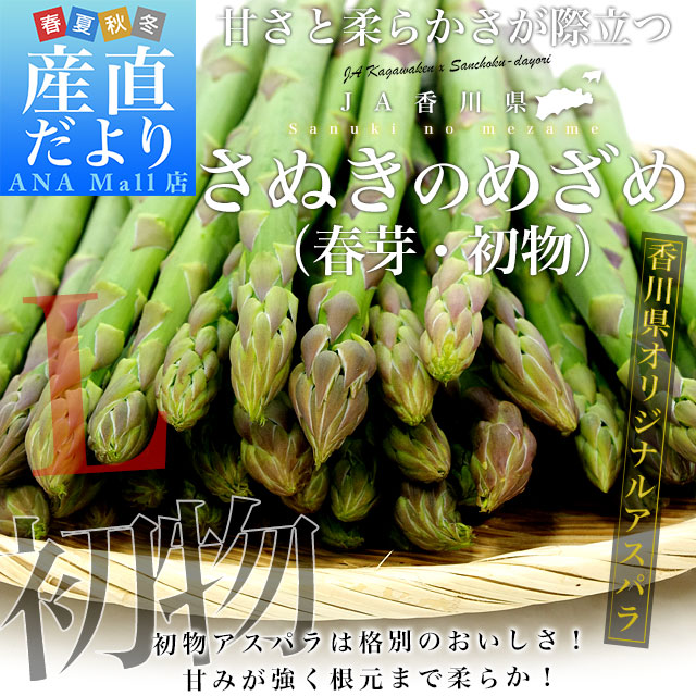 香川県より産地直送 JA香川県 初物アスパラ さぬきのめざめ (春芽・初物) Lサイズ 約700g (25から40本前後) 送料無料(離島などの一部地域を除く) 丸亀市他 アスパラガス