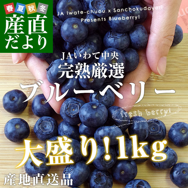 ƥ֥롼٥꡼L500g2Ȣ