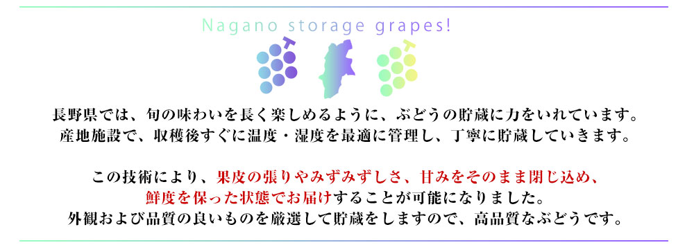 貯蔵説明