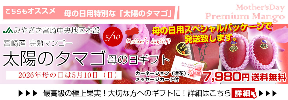 母の日マンゴーへ