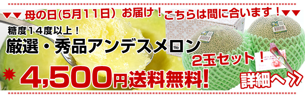 アンデスメロン2玉