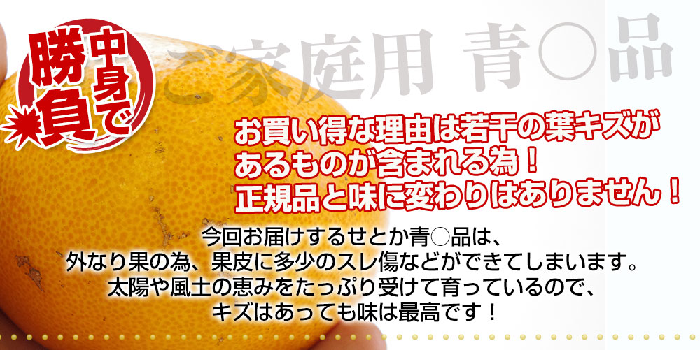 キズ説明ご家庭用