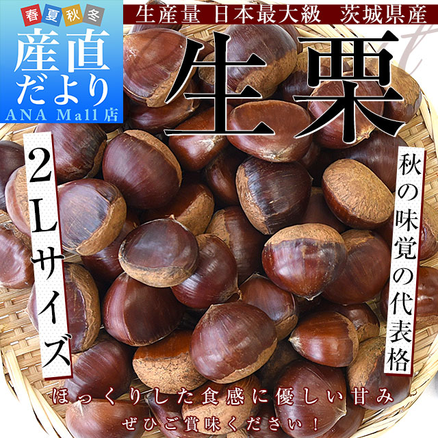 茨城県産 ぽろたん(和栗)3キロ 2L以上 茨城県産 和栗大きめ