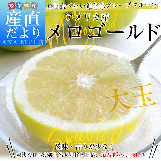 アメリカ産 メロゴールド 大玉サイズ 約3.5キロ(6玉) 送料無料(離島など一部地域を除く) グレープフルーツ 柑橘 市場発送