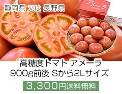 長野静岡高糖度トマトアメーラ900gSから2L