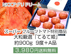NKKアグリドリーム スーパーフルーツトマト大粒厳選「てるて姫」約900g