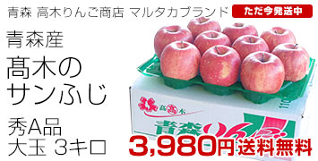 高木りんご3キロ
