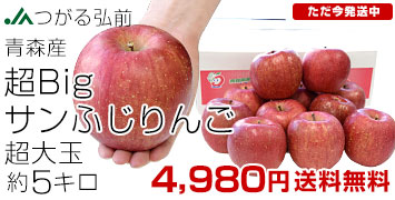 サンふじりんご超大玉5kg