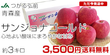 ���󥸥�ʥ������