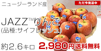 JAZZ2.6kg