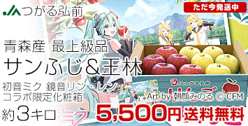 サンふじ王林鏡音リンレン3kg