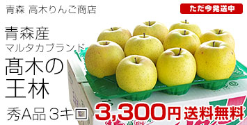 ���ڲ��ӽ�A3����