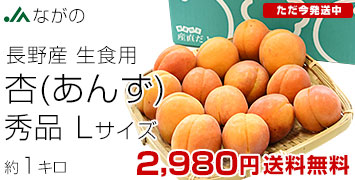 Ĺ1kg