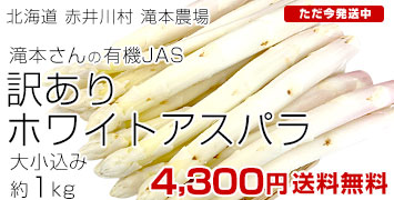 ۥ磻1羮