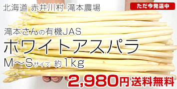 ۥ磻MS