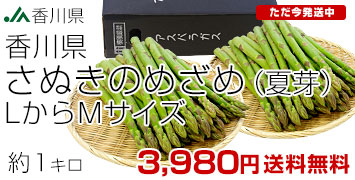 ̤ΤᤶƲLM1kg