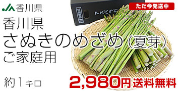 ꤵ̤ΤᤶƲ1kg