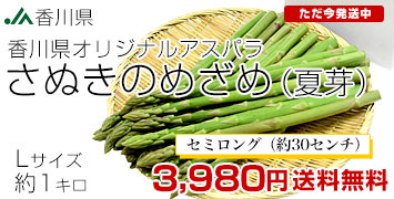 ̤ΤᤶƲꥻߥL1kg