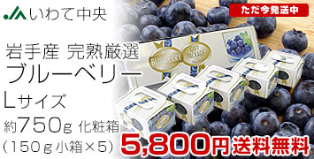 ƥ֥롼٥꡼L750g