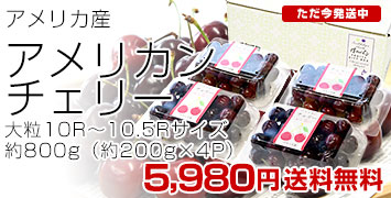 ꥫ꡼4p
