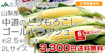 ƻɥå塡2.5