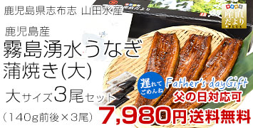 うなぎ3尾