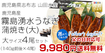 うなぎ4尾