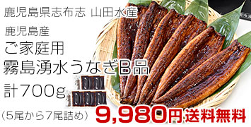 霧島湧水うなぎ B品