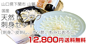 山賀 天然トラフグ刺身セット