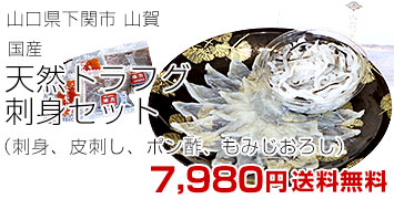 天然トラフグ刺身セットA