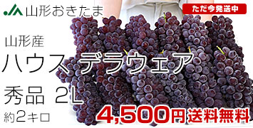 ǥ饦2kg