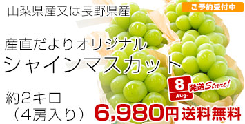 ϤǤ㥤2kg