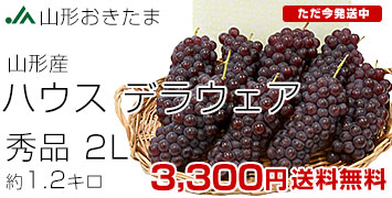 ǥ饦1.2kg