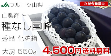 Ϫϵ1˼